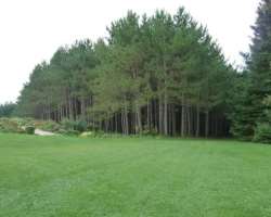It is a beautiful garden and you can spend a lot of time while looking at the natural beauty of this garden. It is also a learning center alongside be
